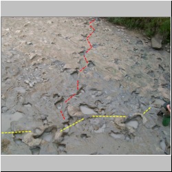 100_0780 (2009-27-07)m-diag.jpg